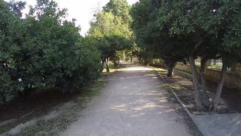 movement along a deserted path in the park, which is surrounded by trees on a sunny day