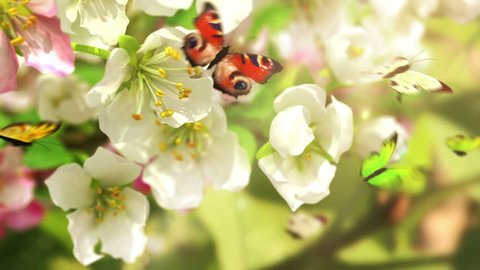 Blossoming flowers and butterflies, 4K. beautiful 3d animation. 