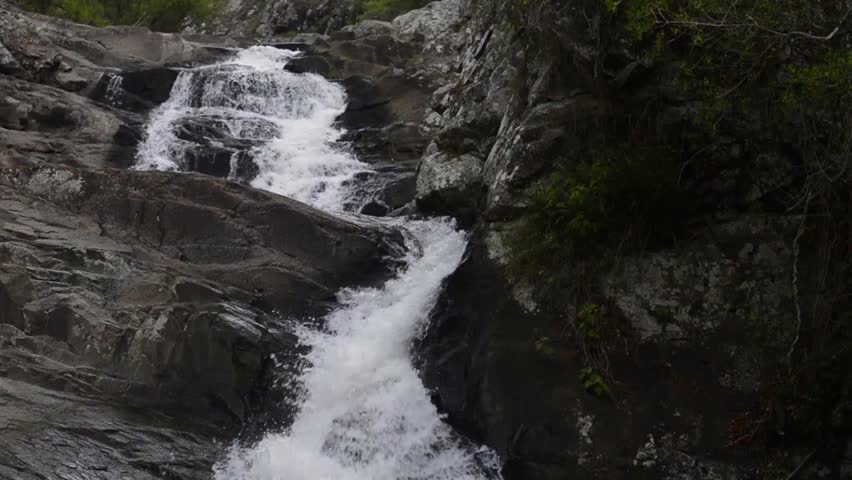 Cedar Creek Waterfall in Mount Tambourine. Waterfall in the gold coast hinterlands on the QLD and NSW border.