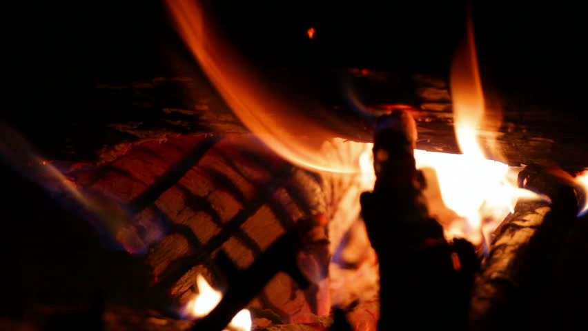 close-up of firewood burning