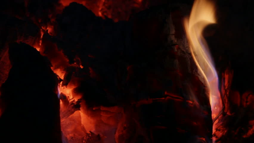 close-up of firewood burning