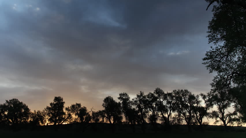 Sunrise Glow over Row of Trees. HD 1080p time lapse.