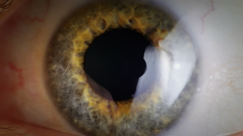 Extreme close up human eye iris in 4K UHD video. Human eye iris contracting. Extreme close up. 4K UHD 2160p footage.