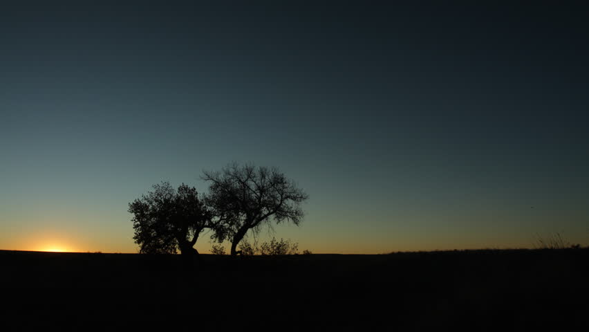 The brilliant orange sunrise into a beautiful sky behind old trees. HD 1080p