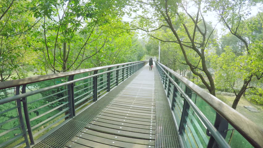 Raised wooden walkway in Xujiahui park Shanghai. In Xuhui park, an elevated wooden and glass walkway above the park, crossing it from one side to the other.