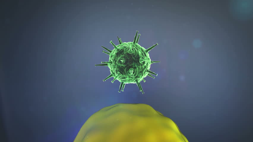 Вирус клетка Минимализм 2в. Аденовирусы 12 18 31 онковирусы. Diarrheagenic viruses.