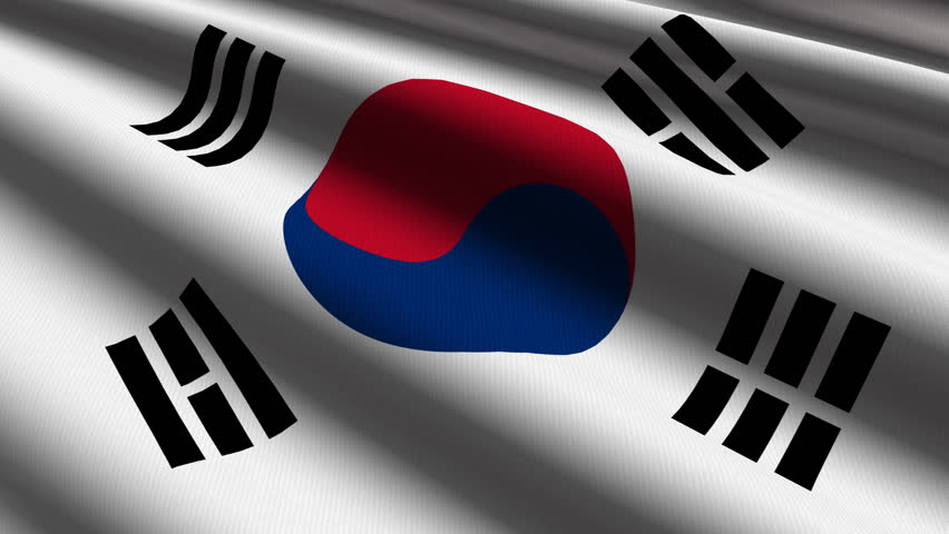 South Korea Close up waving flag - HD loop 