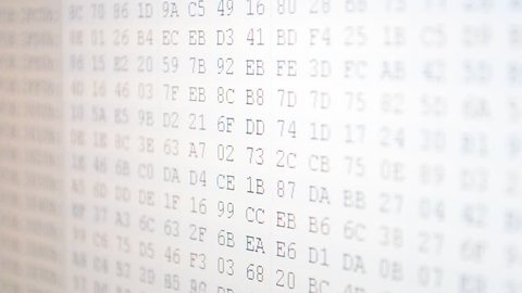 Hexadecimal program code on screen. Animated background of moving binary code numbers.