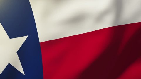 texas flag waving in the wind. Looping sun rises style.  Animation loop