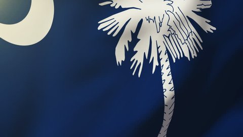 south carolina flag waving in the wind. Looping sun rises style.  Animation loop