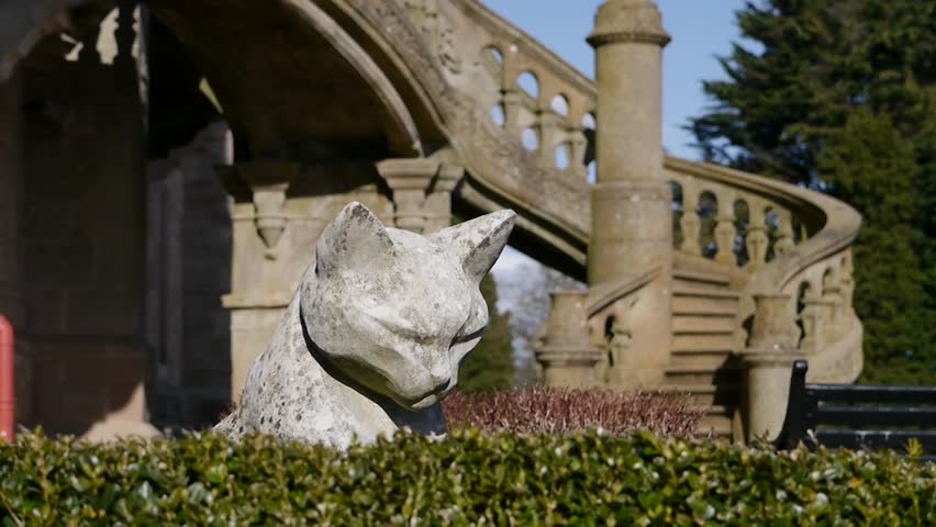 Grumpy Cat statue in front of a stone staircase