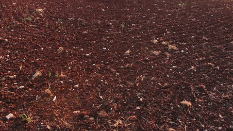 Sol Terre Cultivee Terre Sol Arriere Plan Photo De Stock Modifiable