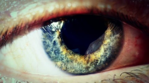 Human eye iris contracting. Extreme close up. 4K UHD 2160p footage.