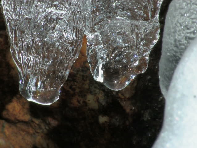 ice and snow, winter woods 