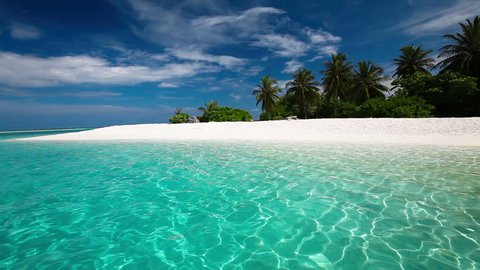 Palm trees over tropical lagoon with white beach in Maldives