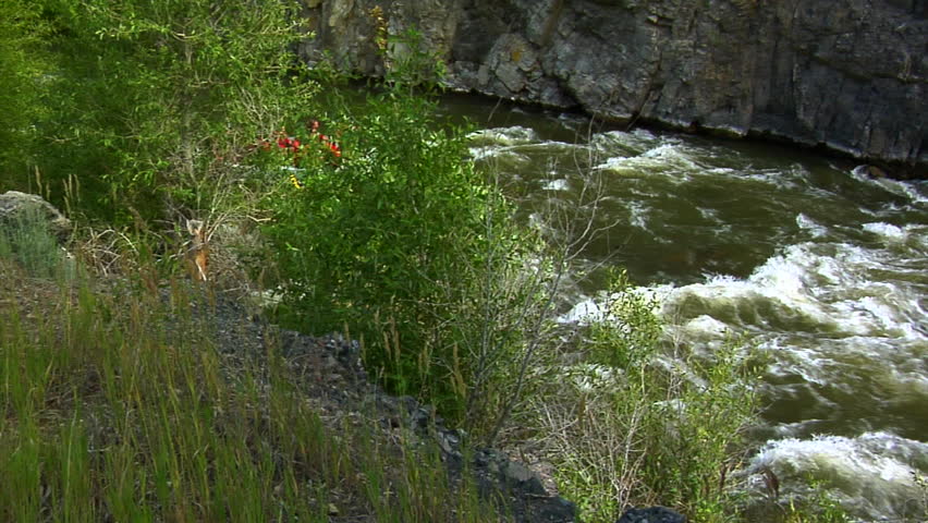 Group of rafters on Weber River, Utah.