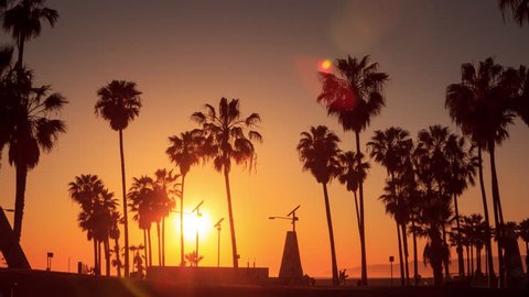 Silhouettes of palm trees against sunset at Venice Beach, California. Timelapse in motion (hyperlapse)., videoclip de stoc