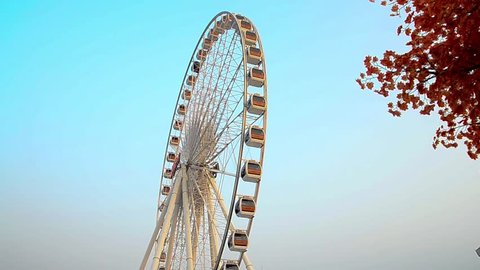Ferris wheel in the park วิดีโอสต็อก