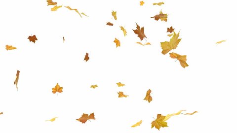 Falling autumn leaves backgrounds - isolated and loopable with alpha 