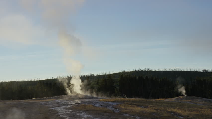Wide shot of steam rising from distant Old Faithful geyser: Yellowstone National Park, Wyoming, United States