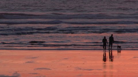 Silhouetted man and woman with their happy dog enjoy sunset at beach together in Oregon. Stock Video