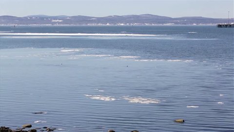 Video of a Penobscot Bay in Searsport Maine with distant ducks, floating ice and rocks in the foreground.