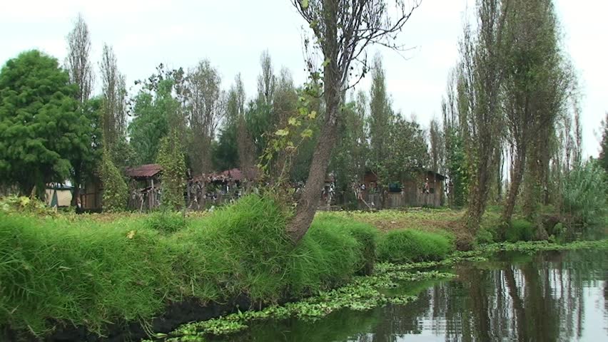La Isla de la Munecas - Island of the dead Dolls. Xochimilco, Mexico.