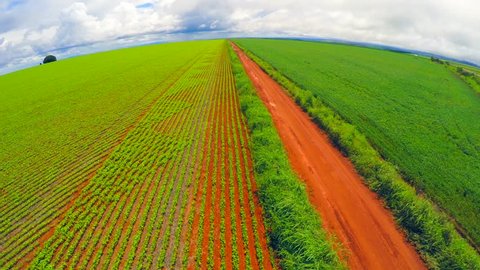 Aerial View from Soybean Plantation, Brazil
