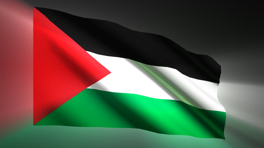 Palestine shining waving flag - HD loop 
