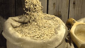 Male hands pour grain oats in a bag of sackcloth.  Slow motion 240 fps. Slowmo. 1080p full HD video footage.