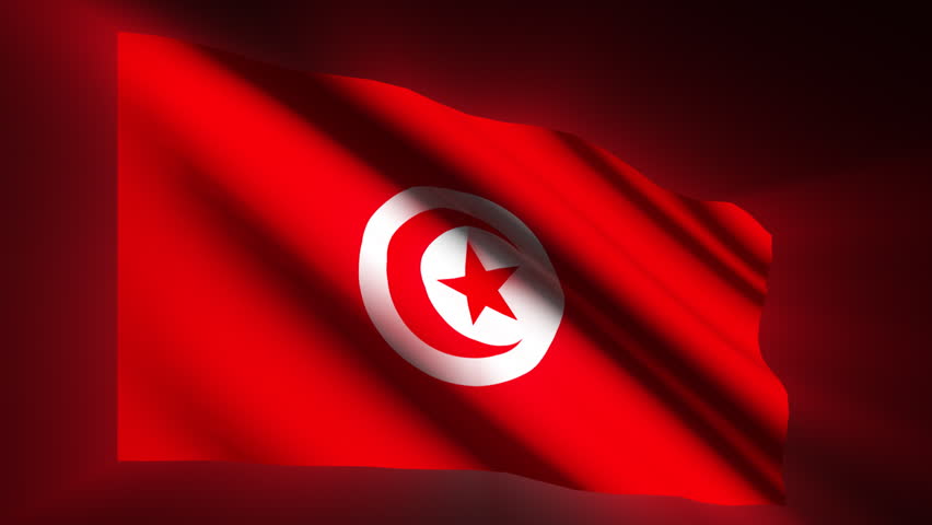 Tunisian shining waving flag - HD loop 