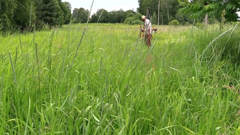 Villager Cut Tall Grass Quietly Stock Footage Video 100 Royalty Free 9406148 Shutterstock