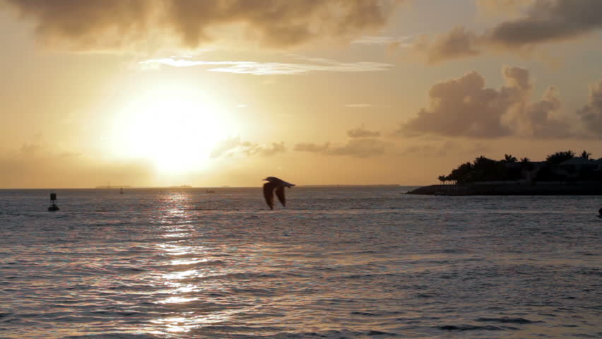setting sun near a tropical island in the Caribbean