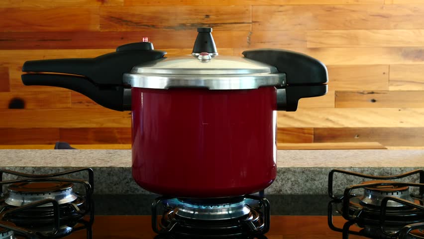 Silit pressure best sale cooker price