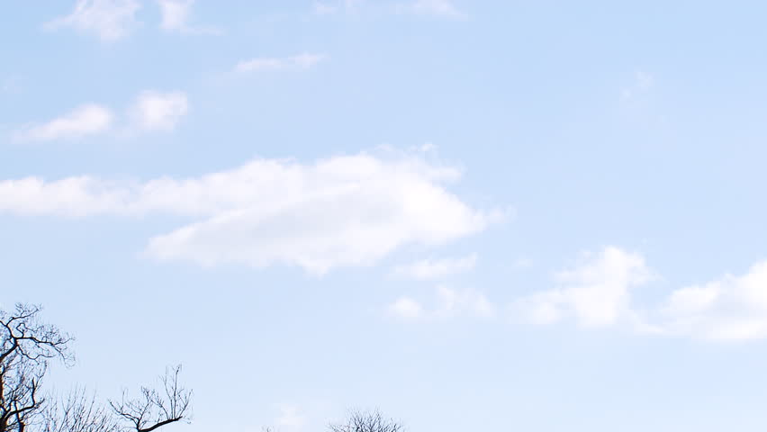 Pan to the United States Capitol building. Shot while under construction, 1080p high definition. Shot on December 30, 2014.