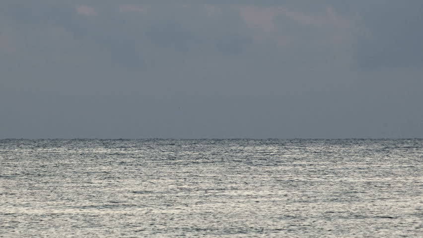 Gray seascape