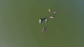 Free-time surfing on the local lake . Helicopter camera RAW footage of a grope of surfers peddling in the middle of the lake on a sunny day.