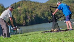 Two fisherman's catches the fish. Slow motion RAW footage of a man bringing the fish from the lake to the grass in the net in the middle of a countryside on a sunny day.