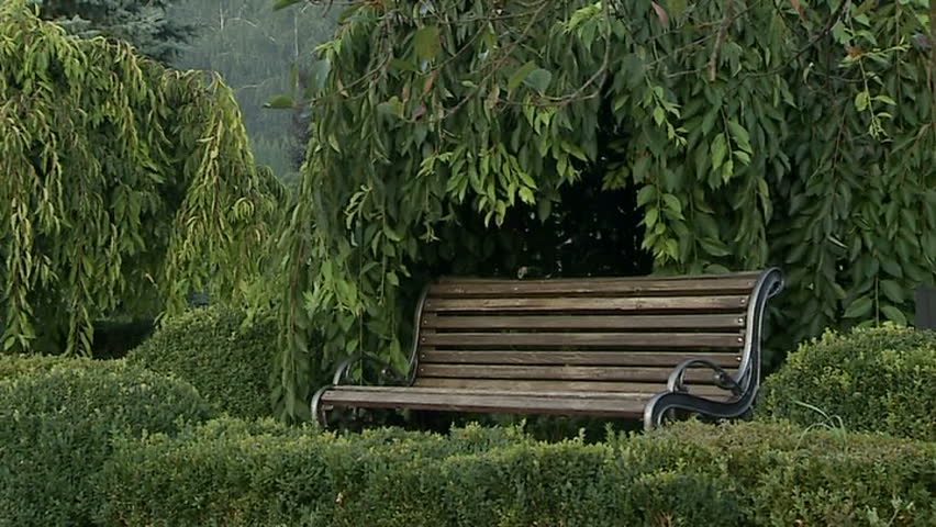 Bench in the forest