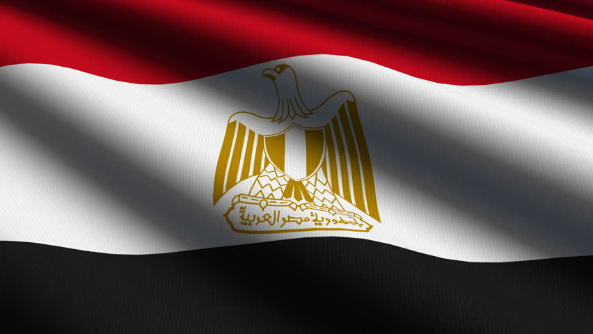 Egyptian Close up waving flag - HD loop 
