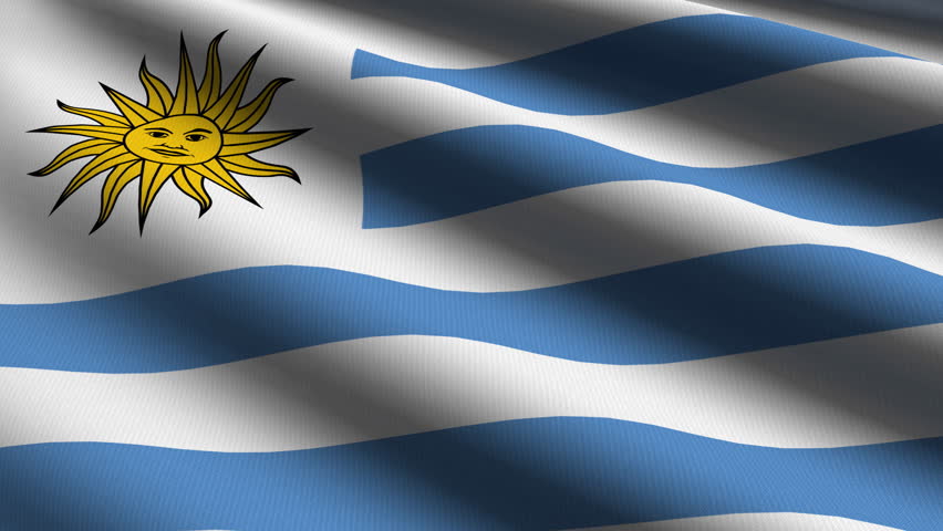 Uruguayan Close up waving flag - HD loop 