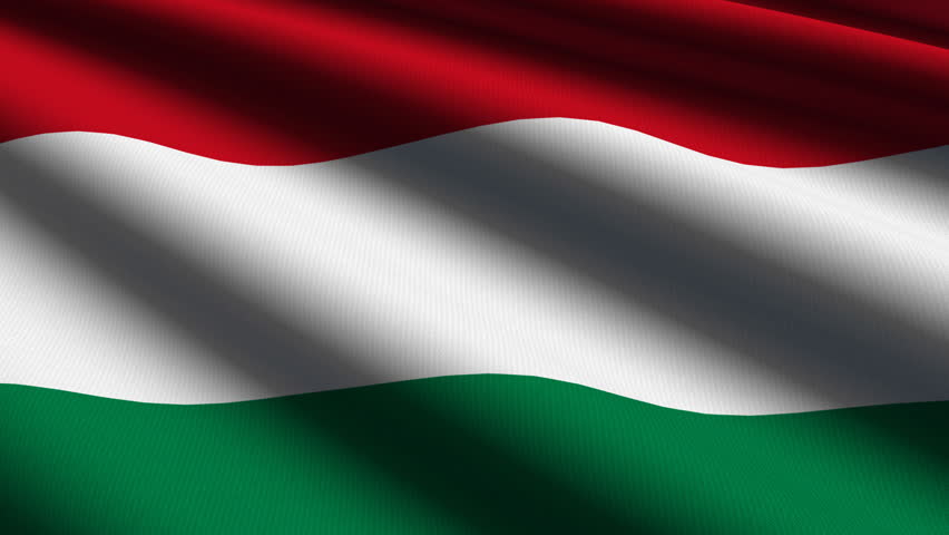Hungarian Close up waving flag - HD loop 