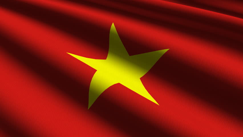 Vietnamese Close up waving flag - HD loop 