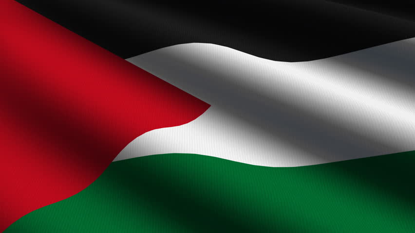Palestine Close up waving flag - HD loop 