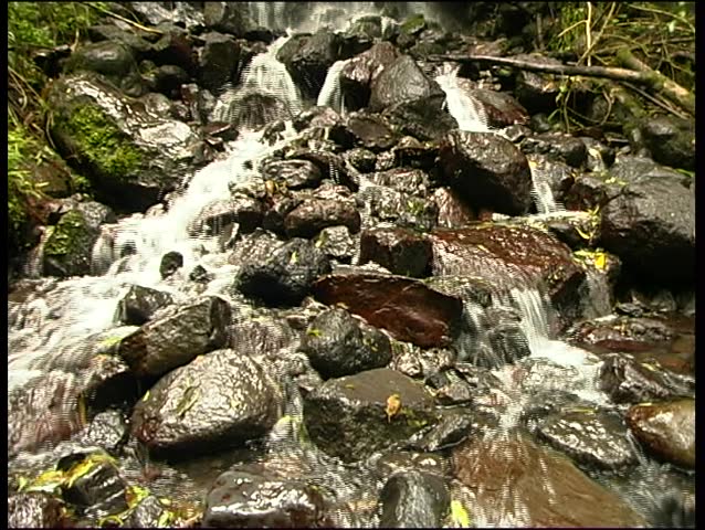 Small waterfall in the Ecuadorian Andes