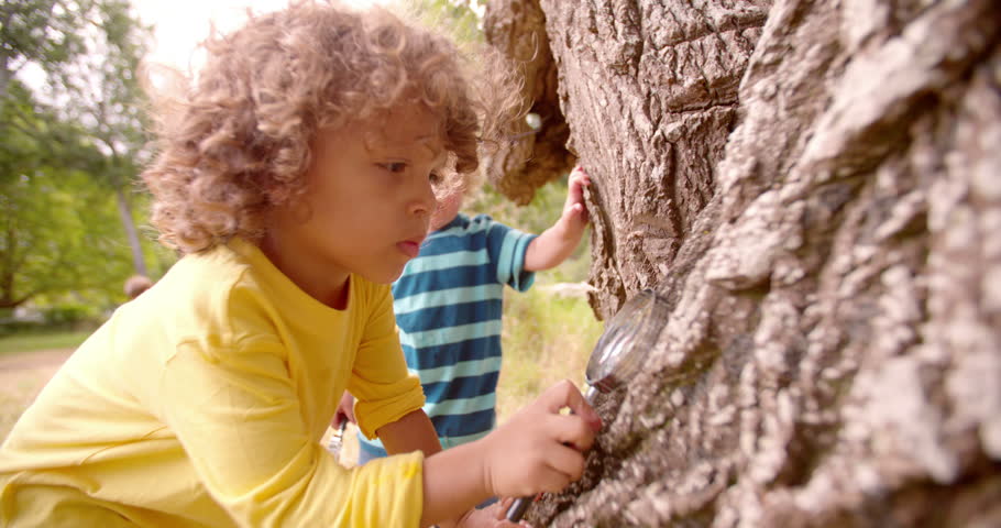 Two boys exploring nature with magnifying glass