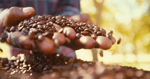 Aromatic roasted coffee beans being held over a bag, hands testing quality in slow motion