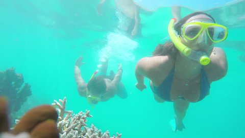 UNDERWATER: Divers snorkeling between big exotic fish on the reef