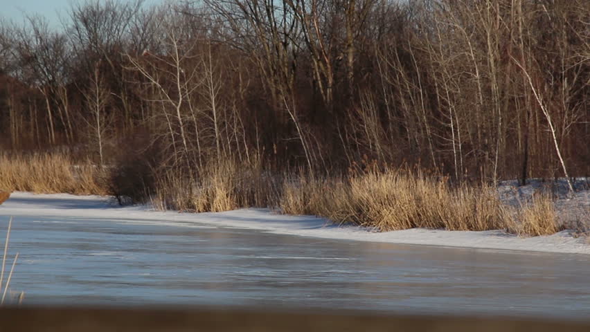 Frozen Lake - Dolly Smooth Shot