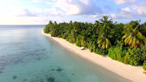 AERIAL: Island with sandy beaches, palm trees and emerald ocean